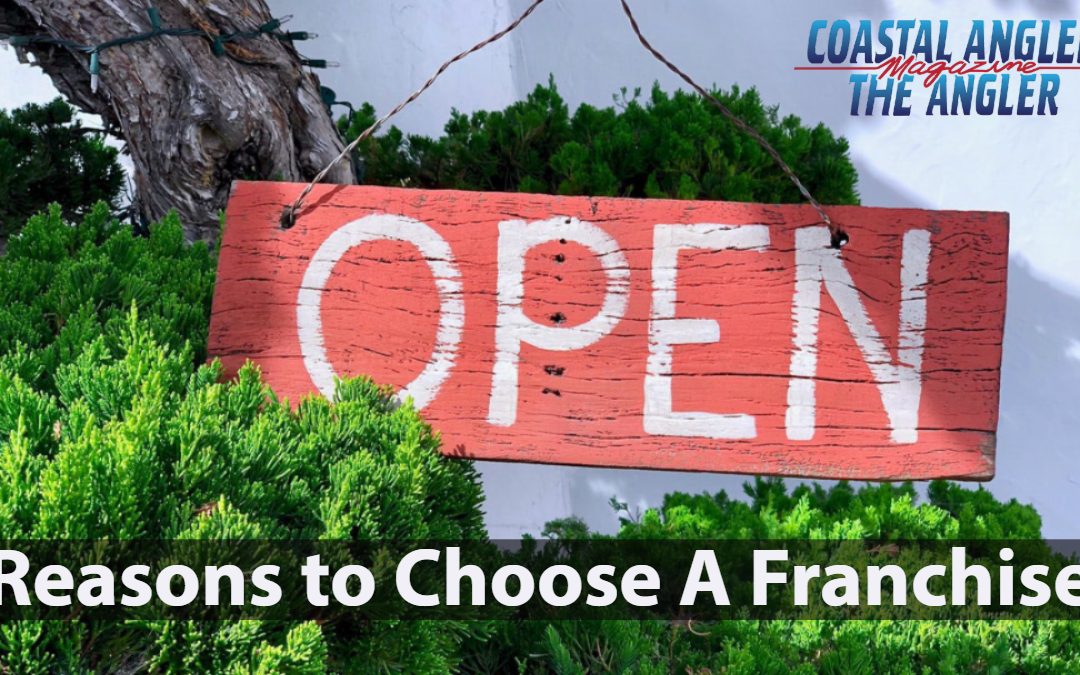 Why Choose A Franchise?